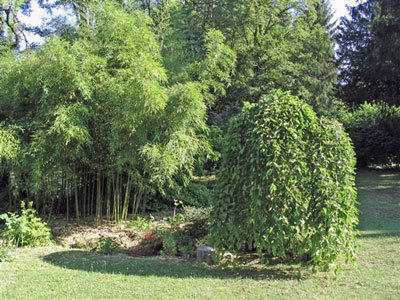 LE JARDIN DES PLANTES AUTONOMES