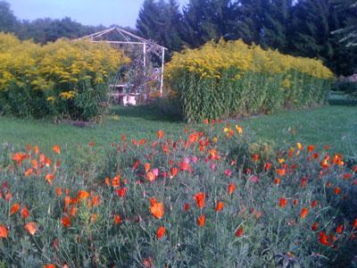 LES JARDINS DE LA TERRE
