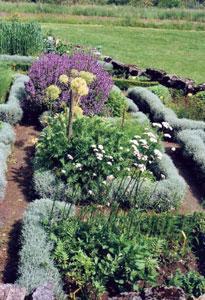 JARDIN MÉDIÉVAL DE PLANTES AROMATIQUES ET MÉDICINALES DE LA COMMANDERIE DE SALLEBRUNEAU