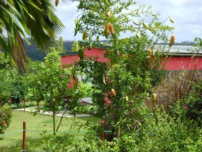 LE JARDINS DE BONNEVILLE