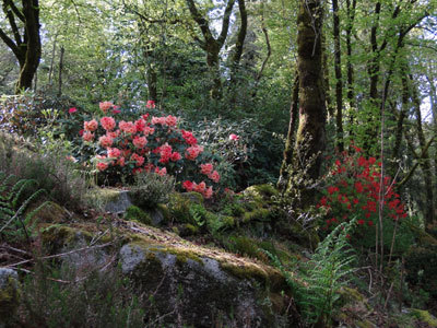 Les Jardins de Treuscoat