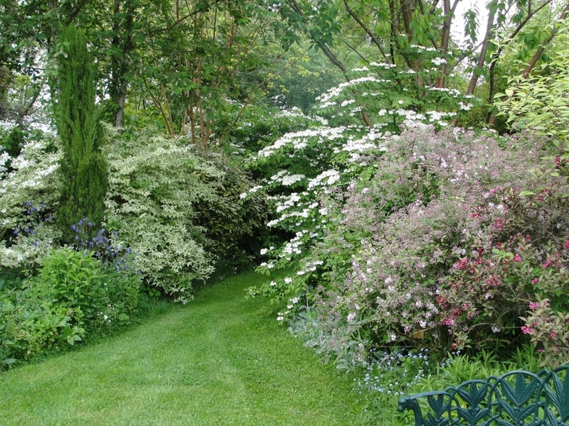 LE JARDIN DES VIEILLES VIGNES