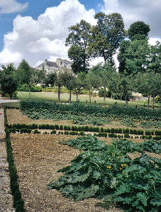 Parc du CHATEAU D'ARCELOT