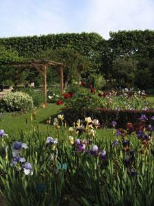 JARDIN DES PLANTES DE PARIS