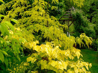 LE JARDIN DE TRAPELUNE