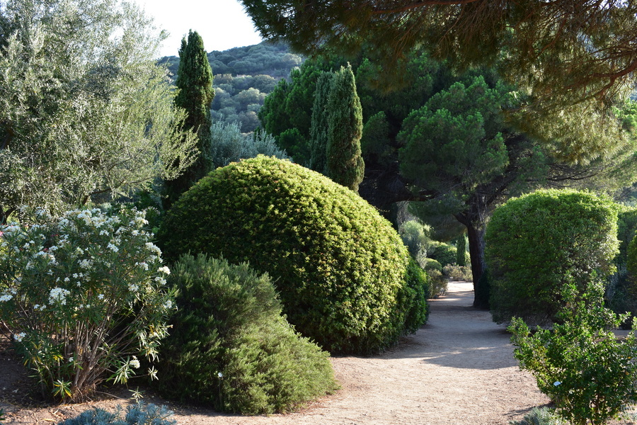 PARC DE SALECCIA