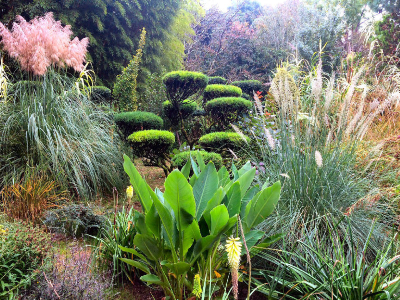 JARDIN LES BAMBOUS DE PLANBUISSON