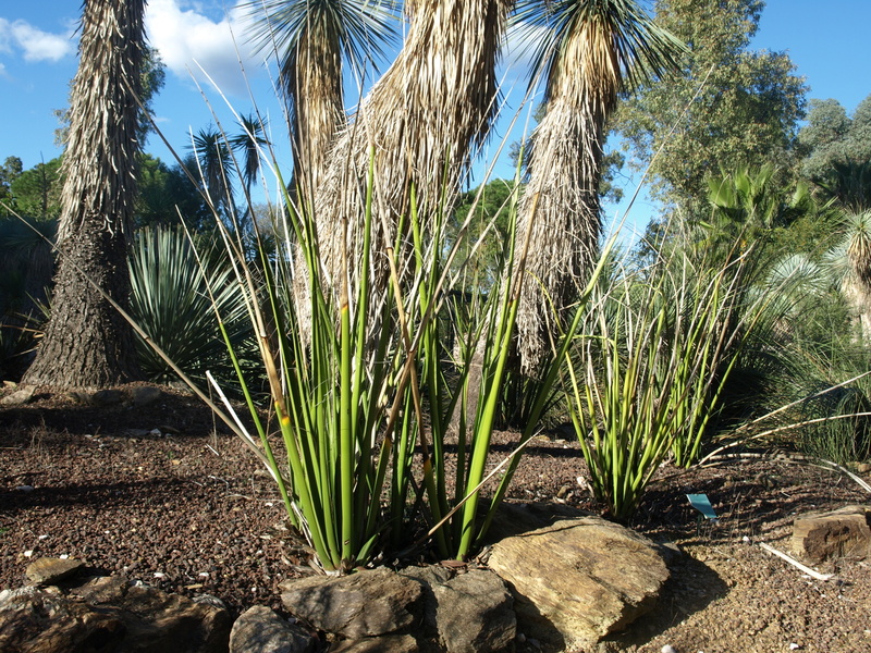 Jardin Zoologique tropical