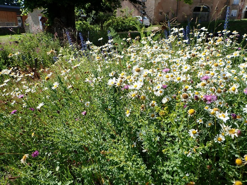 HERBULARIUM DE LA MAISON DU PARC