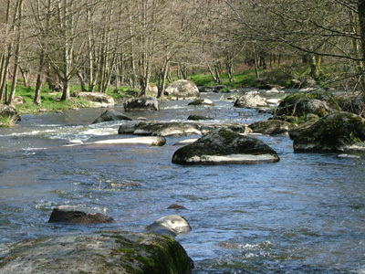 ARBORETUM DE LA SEDELLE