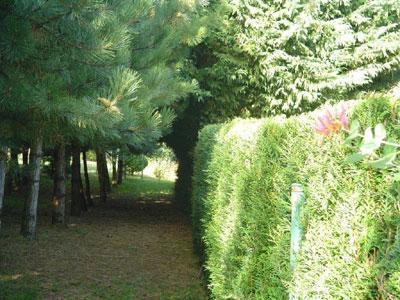 Jardin du Pâtural des Joncs