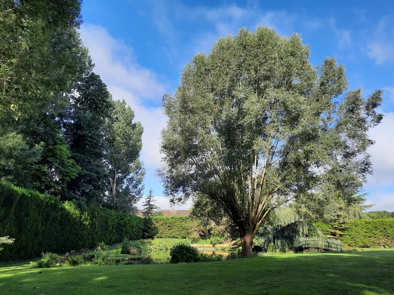 Le jardin au-delà de l'eau