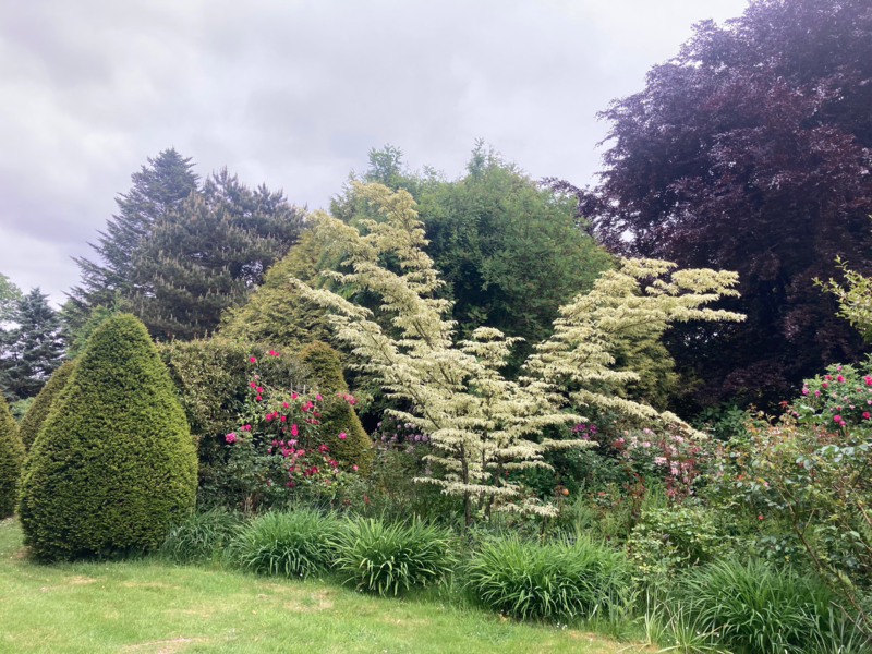 LE CLOS de CHANCHORE- Jardin Botanique