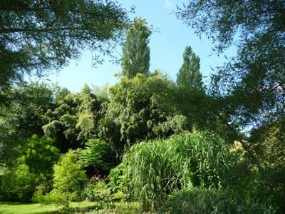 JARDIN DU CLOS DE SAINT SATURNIN