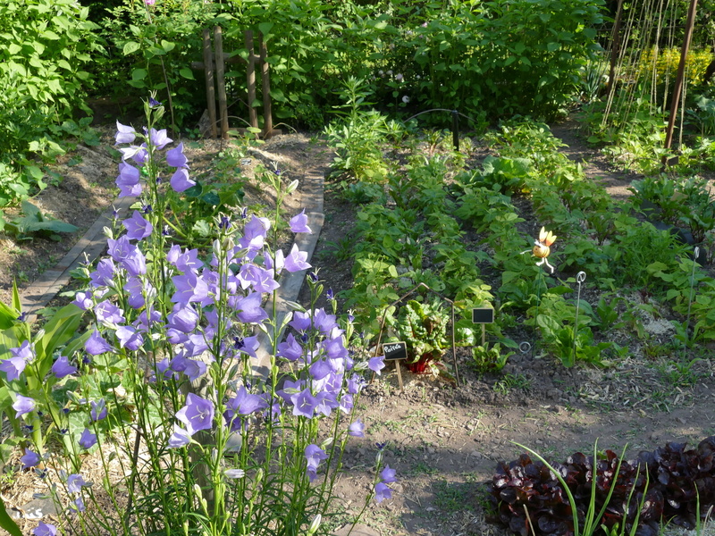 JARDIN DE LA VILLA ROSA