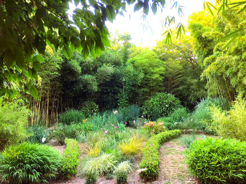 JARDIN LES BAMBOUS DE PLANBUISSON