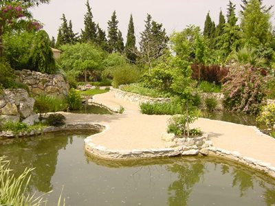 JARDIN AQUATIQUE « AUX FLEURS DE L'EAU »