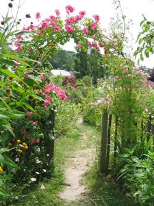 HERBARIUM DES REMPARTS