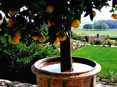 LES JARDINS DE BROGIEUX