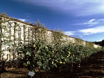 POTAGER DU ROI - ECOLE NATIONALE SUPÉRIEURE DU PAYSAGE