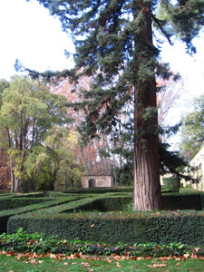 JARDIN DU CHÂTEAU DE LA BARBEN