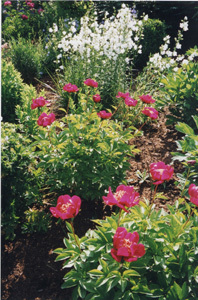 LES JARDINS DES LOGES DU PARC