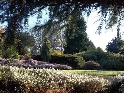 JARDIN BOTANIQUE DES MONTAGNES NOIRES