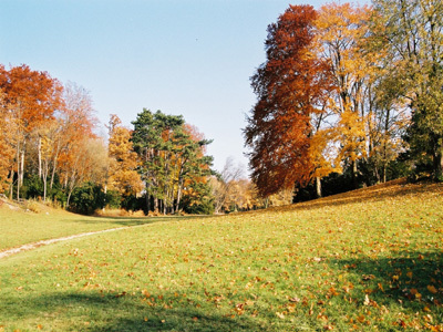 PARC DE LA FONTAINE AUX PIGEONS