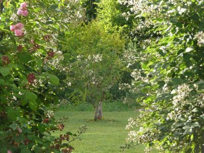 Jardin de Pomone