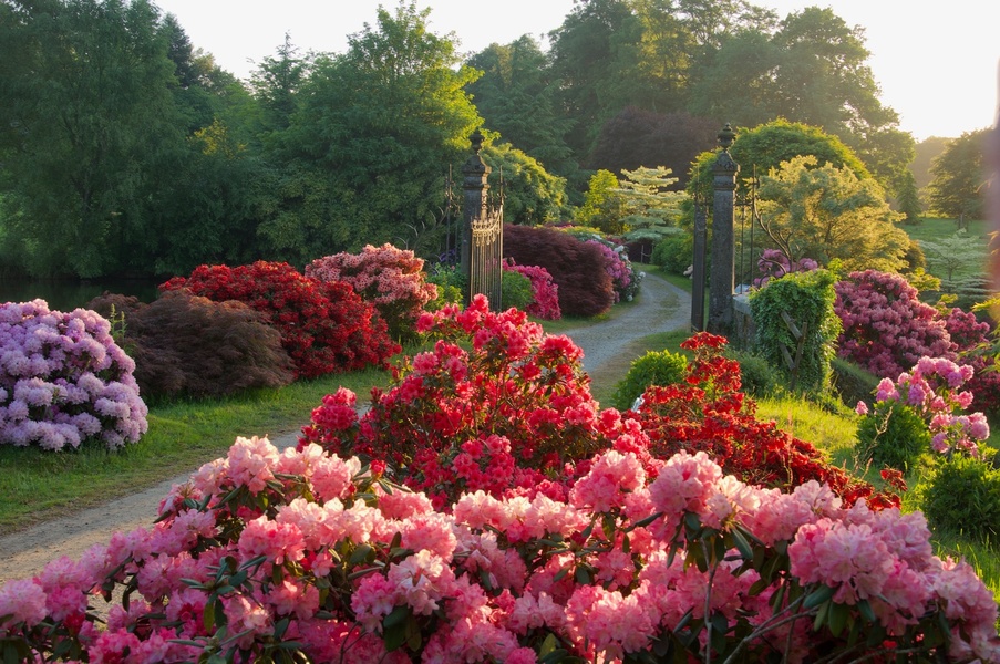 PARC BOTANIQUE DE HAUTE BRETAGNE