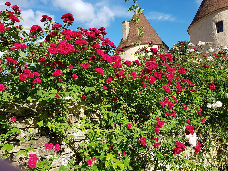 Jardin du Château de Corbelin