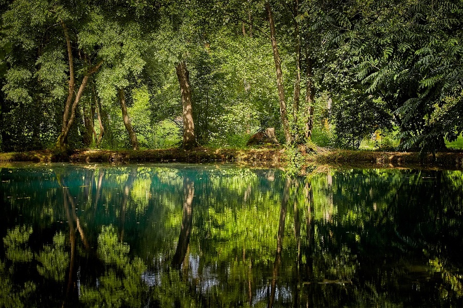 PARC ET JARDINS DU CHÂTEAU DE BEAULON