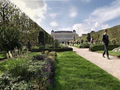 JARDIN DES PLANTES DE PARIS