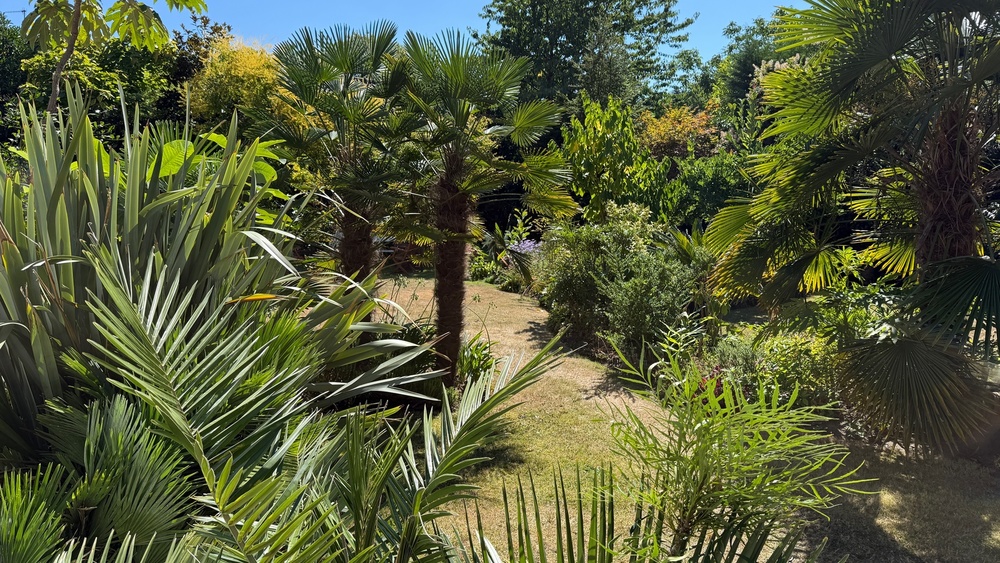 Jardin secret du Château Blanc