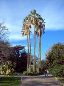 PARC OLBIUS RIQUIER