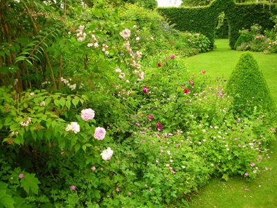 LE JARDIN DES OUBLIÉES