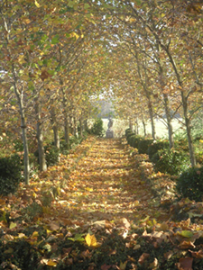 PARC ET JARDINS DU CHÂTEAU DE VENDEUVRE