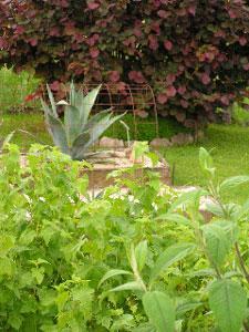 JARDIN BOTANIQUE TEXTILE