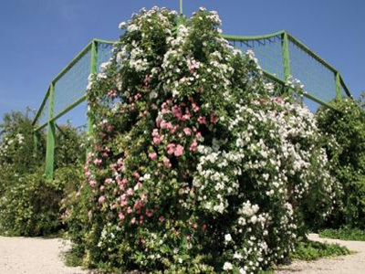 JARDIN DES QUATRE SAISONS