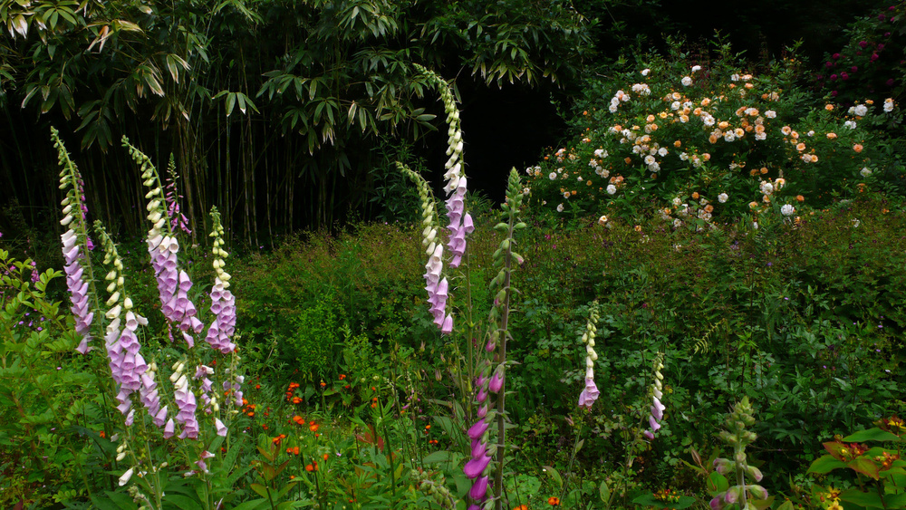 JARDIN D'ART ET D'ESSAIS