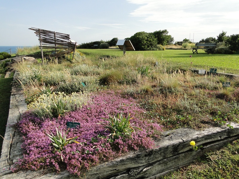 Jardin botanique littoral de Saint-Jean-de-Luz