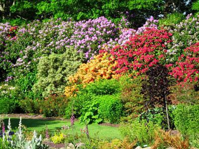 LES JARDINS DES RENAUDIES