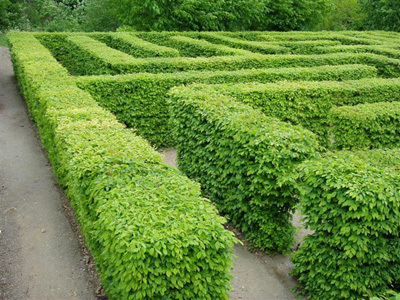 PARC ET JARDINS DU CHÂTEAU D'AUVERS-SUR-OISE