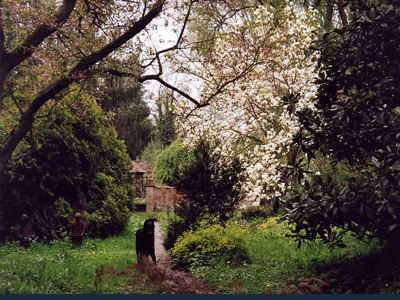 JARDIN BOHÈME