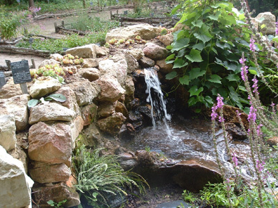 JARDIN BOTANIQUE MÉDIÉVAL Rémy BOUCHER