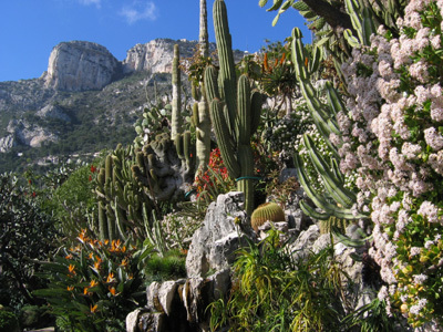 JARDIN EXOTIQUE DE MONACO