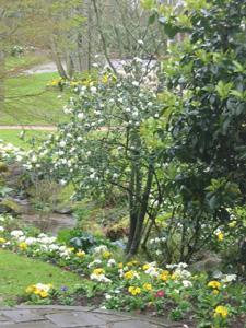 JARDIN VICTOR CHEVASSU