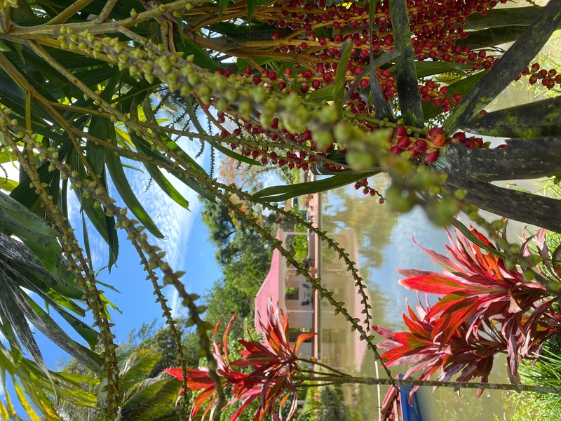 JARDIN DE VALOMBREUSE