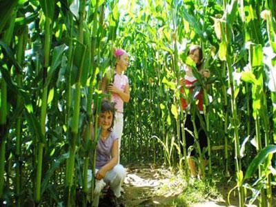 LES JARDINS DES RENAUDIES