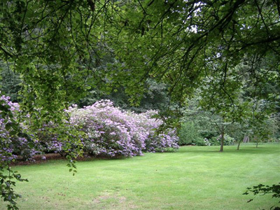 LE BOIS DE BONANCE